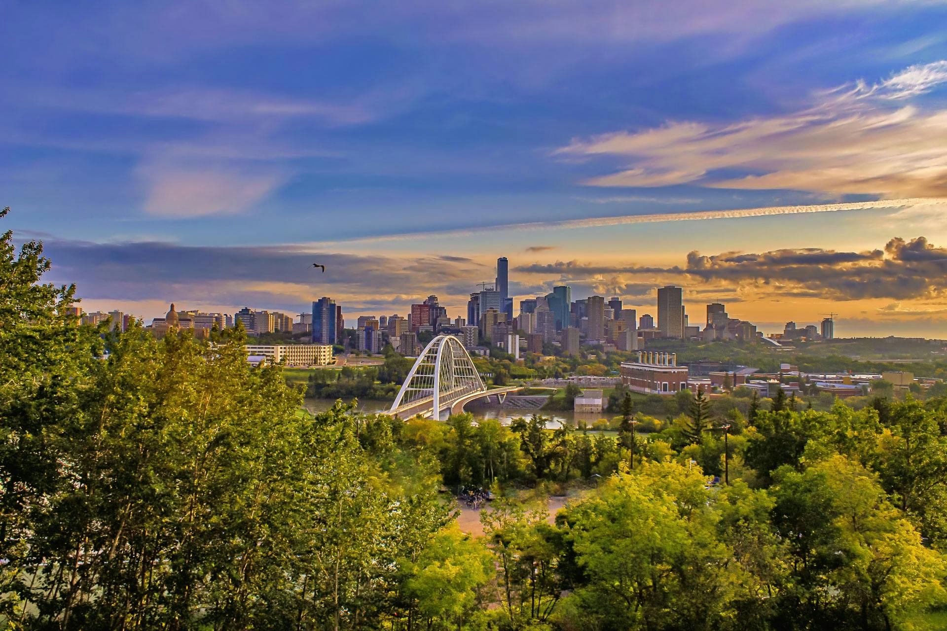 Skyline view of Edmonton, Canada, with trees and a bridge in the foreground
